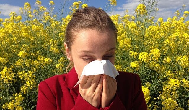 Top 10 Plants causing Allergies and Hay Fever