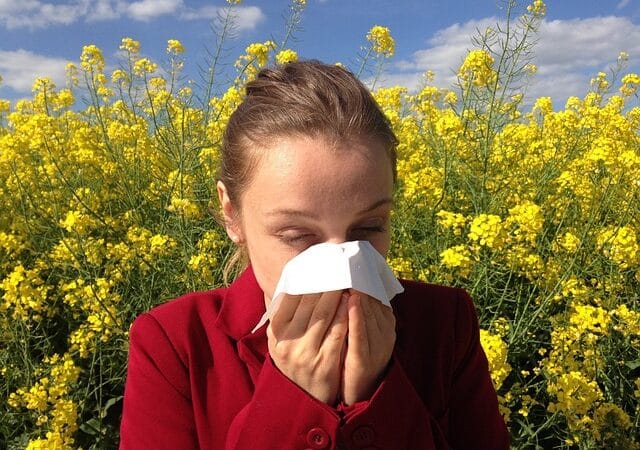 Top 10 Plants causing Allergies and Hay Fever