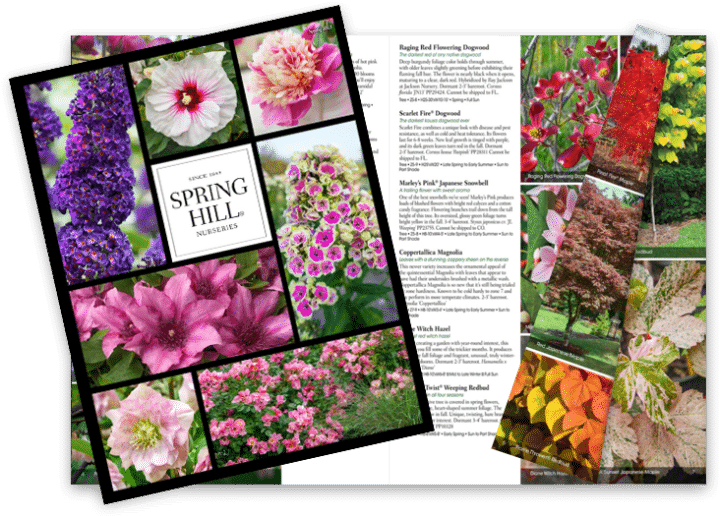 Free Garden Catalogs Backyard Gardener Your GoTo Resource for