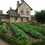 Organic Vegetable Gardening Made Easy: Tips for a Low-Maintenance and Productive Garden with Just 8 Hours of Effort Per Year