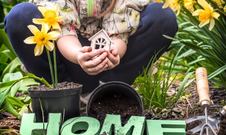10 Home Garden Ideas