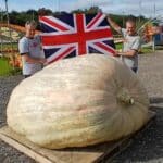 2025 world record pumpkin