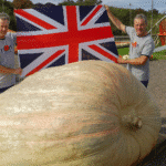 2025 world record pumpkin Patron Brothers UK