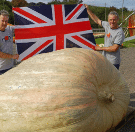 2025 world record pumpkin Patron Brothers UK