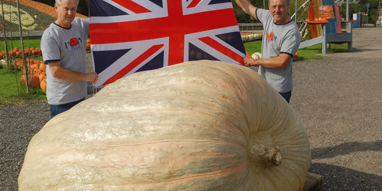 2025 world record pumpkin Patron Brothers UK