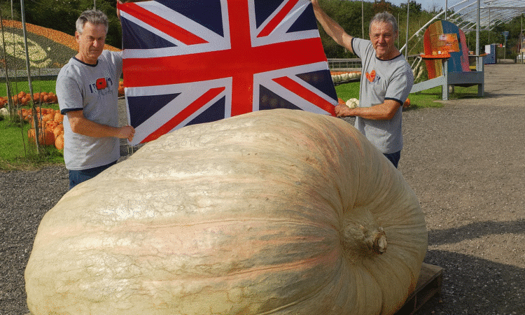 2025 world record pumpkin Patron Brothers UK